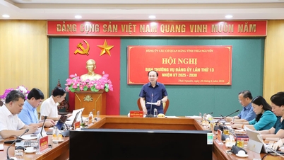 Comité du Parti des agences du Parti dans la province de Thai Nguyen : A fourni des commentaires sur diverses questions.