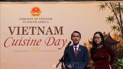 วันอาหารเวียดนาม 2026: สถานเอกอัครราชทูตเวียดนามประจำแอฟริกาใต้ และบทเพลงแห่งวัฒนธรรมจากจิตวิญญาณของชาวเวียดนาม