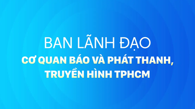 Ban lãnh đạo Cơ quan Báo và Phát thanh, Truyền hình TPHCM