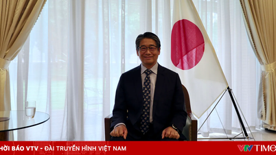 Duta Besar Jepang: Mari kita semua menyemangati "Samurai Biru" untuk memenangkan 3 poin penuh!