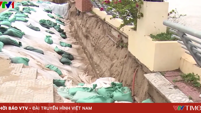 Urgent action needed to address the dangerous landslide on the Tien River.