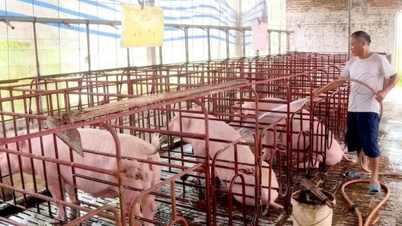 Memperluas skala dan meningkatkan nilai industri ternakan.