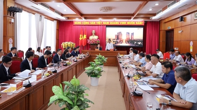 T&T Group muốn kiến tạo cực phát triển mới tại Đắk Lắk
