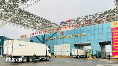 The quality testing laboratory at the Mong Cai border gate meets international standards.