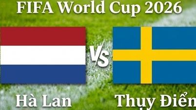 Pratinjau dan prediksi pertandingan Belanda vs Swedia: Si Tornado Oranye kembali menemukan performa terbaiknya.