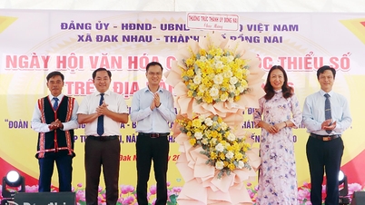 ចំណុចសំខាន់ៗនៃពិធីបុណ្យវប្បធម៌របស់ជនជាតិភាគតិចនៅឃុំដាក់ញ៉ាវ