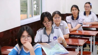 Thủ khoa kỳ thi lớp 10 tại TP HCM đạt 28,75 điểm, có hai điểm 10