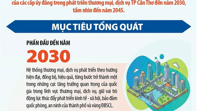 [INFOGRAPHIE IHCS] Objectifs de développement du commerce et des services à Can Tho jusqu'en 2030, avec une vision à l'horizon 2045