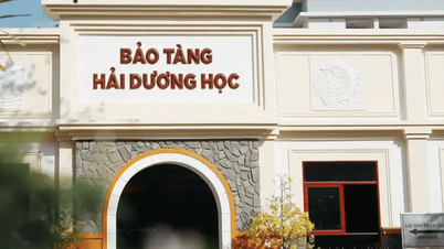 Memperkuat langkah-langkah untuk memerangi pencurian dan memastikan keselamatan wisatawan di Nha Trang.