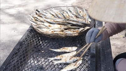 La singular profesión de vender arenques a la parrilla a lo largo de la costa de Quang Tri.