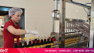 Ứng dụng khoa học, công nghệ "nâng tầm" sản phẩm OCOP Hà Tĩnh