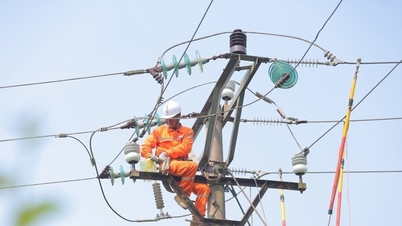 EVNNPC: Asigurarea unei alimentări sigure și stabile cu energie electrică în contextul creșterii presiunii de sarcină.