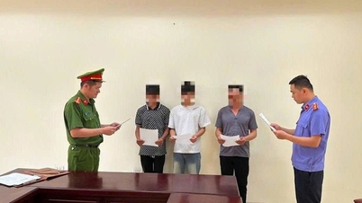 Tres jóvenes de Cao Bang han sido acusados ​​tras emborracharse y protagonizar una pelea.