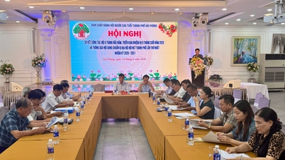 Bijna 82.000 ouderen in Hai Phong ontvingen verjaardagswensen.