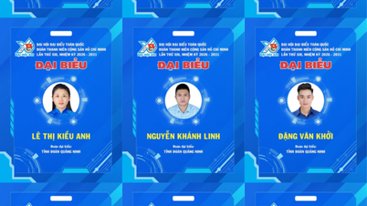 ہو چی منہ کمیونسٹ یوتھ یونین کی نیشنل کانگریس میں کوانگ نین کے 15 ارکان شریک ہیں۔