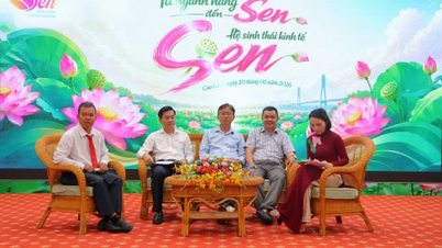 Từ sản phẩm sen đến hệ sinh thái kinh tế sen