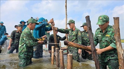 การสร้างความตระหนักรู้แก่สาธารณชนและการตอบสนองต่อภัยพิบัติทางธรรมชาติอย่างทันท่วงที