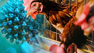 Fågelinfluensaviruset H5N1 har spridit sig till alla kontinenter.