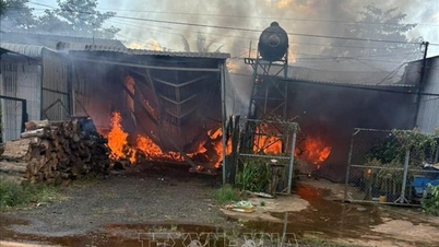 Dva domy v provincii Dong Nai zachvátily požár, který poškodil mnoho majetku.