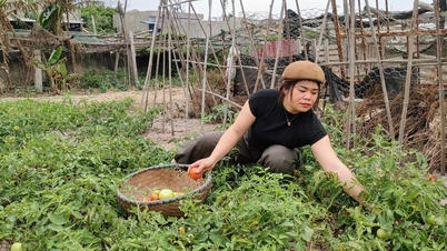 Sang guru bagi tunas-tunas muda berada di garis depan gelombang.