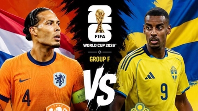 Enlace para ver en directo el partido de fútbol entre Países Bajos y Suecia, a las 00:00 del 21 de junio.