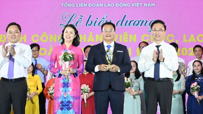 Từ tổ ấm gia đình, vun đắp tinh thần hiếu học và lao động sáng tạo