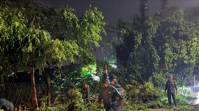 Sebuah komune Khánh sedang berusaha segera untuk mengurangkan akibat ribut tersebut.