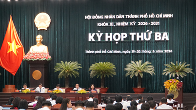 50'den fazla karar, Ho Chi Minh şehrinin saygınlığını artırıyor.