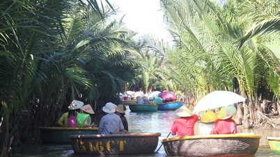Rừng thiêng giữa phố: 'Miền Tây thu nhỏ' giữa phố Hội