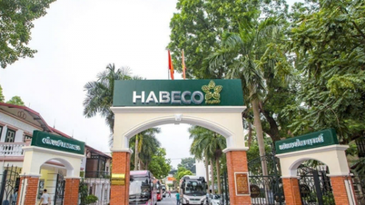 Hanói finaliza plano para destinar terreno da Fábrica de Cerveja de Hanói para fins educacionais.