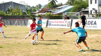 24 đội bóng tranh tài tại Ngày hội bóng đá học sinh Festival hè năm 2026