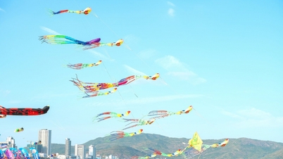Quy Nhon beach is ablaze with artistic kites.