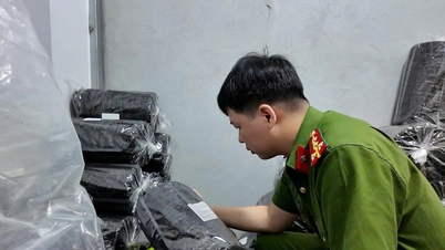Những con số giật mình