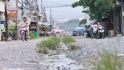 Wad Trang Dai: Ramai penduduk mendermakan tanah tanpa menuntut pampasan untuk pengembangan Jalan Nguyen Thai Hoc.
