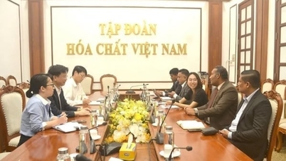 จากหุ้นส่วนสู่มิตร: Vinachem ขยายความร่วมมือกับศรีลังกา