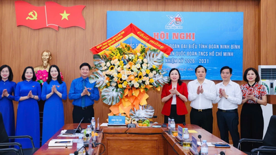 Ninh Binh provincial leaders meet with the delegation attending the 13th National Congress of the Youth Union.