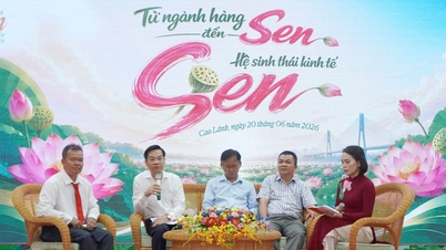 ខេត្តដុងថាបស្វែងរកដំណោះស្រាយដើម្បីកសាងប្រព័ន្ធអេកូឡូស៊ីសេដ្ឋកិច្ចផ្កាឈូក។