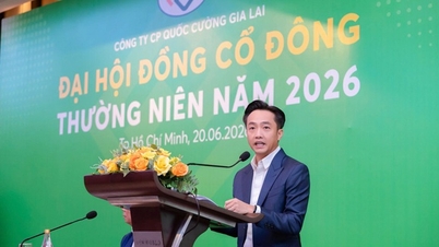 Ông Nguyễn Quốc Cường: Giá cổ phiếu QCG đang thấp hơn nhiều so với giá trị sổ sách