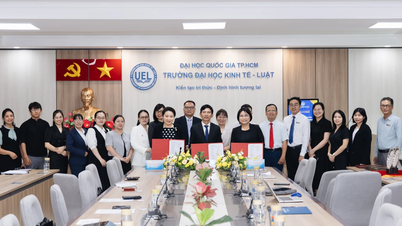 Kerjasama tiga pihak antara UEL, ICAEW dan BDO: Mengintegrasikan amalan profesional ke dalam program latihan.