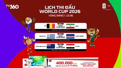 2026년 월드컵 경기 일정 및 VTV 생중계는 6월 22일에 방송됩니다.