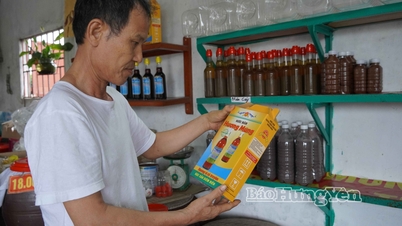 Thai Thuy: Merenelävien jalostuksen kehityksen yhdistäminen elintarviketurvallisuuden ja -hygienian varmistamiseen.