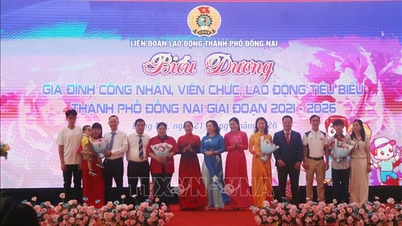 Dong Nai'de örnek teşkil eden 51 mutlu aile onurlandırıldı.