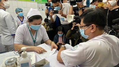 Lá chắn giữa 'bão' thông tin sức khỏe