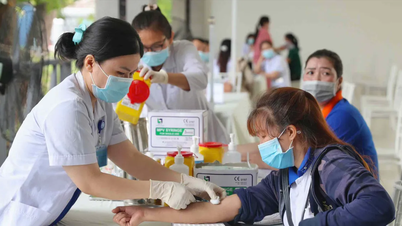 Over 1.3 million workers received health check-ups and disease screenings.