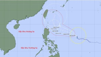 台風メカラの勢力が加速し、エルニーニョ現象の影響による2026年のハリケーンシーズンに関する驚くべき詳細が明らかになった。