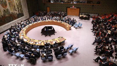 Les pays arabes réaffirment la solution à deux États pour la Palestine.