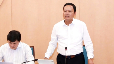 The effectiveness of the temporary centralized slaughtering model in Hanoi.