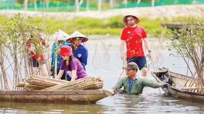 Restoring ecosystems and protecting aquatic resources.