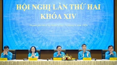 Die Ton Duc Thang Universität ist Gastgeberin der 2. Konferenz des Exekutivkomitees des Vietnamesischen Allgemeinen Gewerkschaftsbundes, 14. Amtszeit.