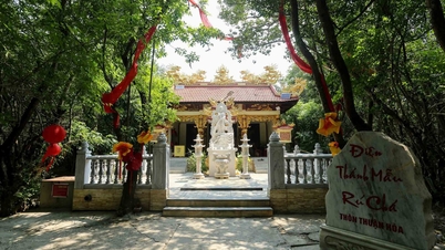 ป่าศักดิ์สิทธิ์ในเมือง: ตำนานใต้ร่มเงาของป่ารูฉา